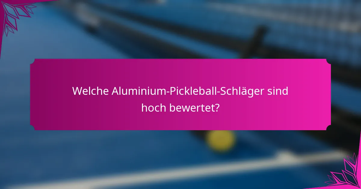 Welche Aluminium-Pickleball-Schläger sind hoch bewertet?