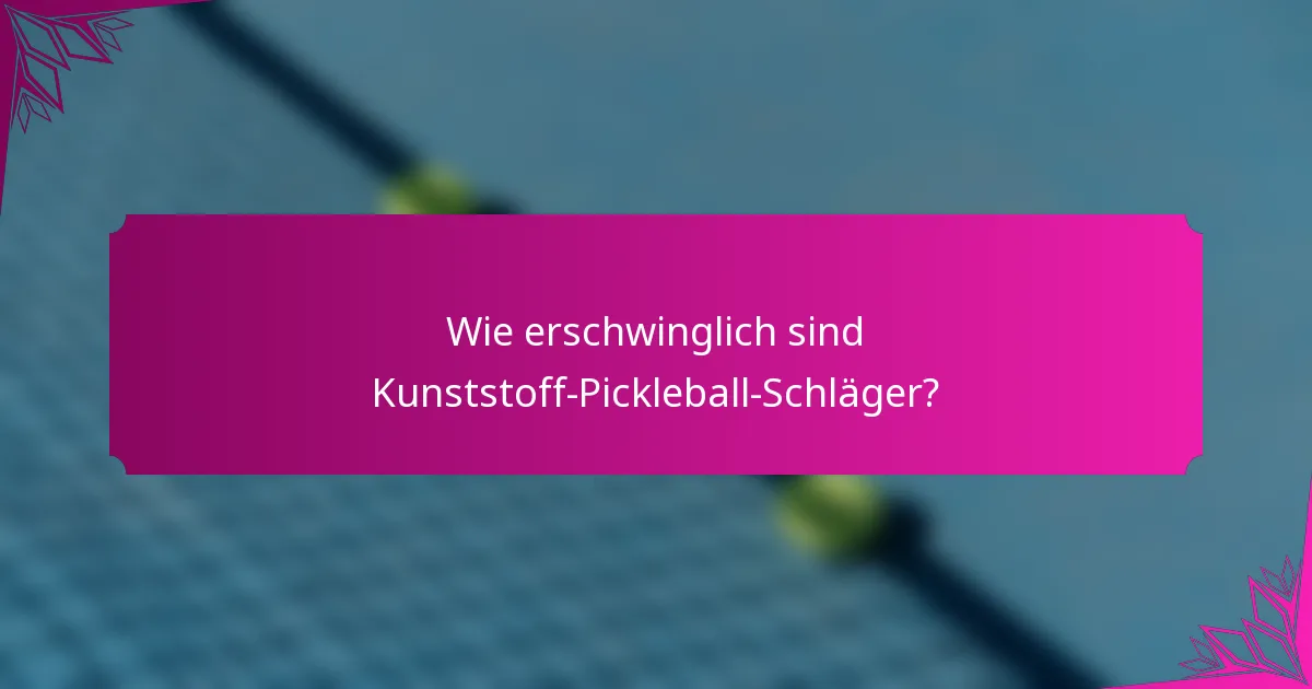 Wie erschwinglich sind Kunststoff-Pickleball-Schläger?