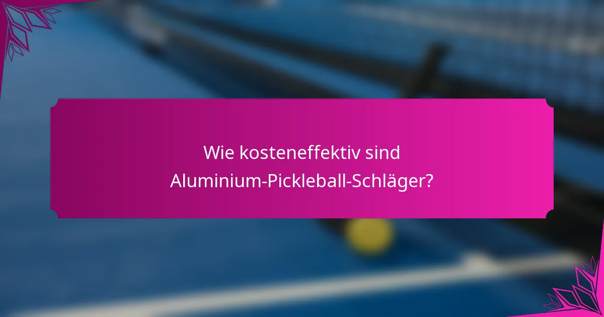 Wie kosteneffektiv sind Aluminium-Pickleball-Schläger?