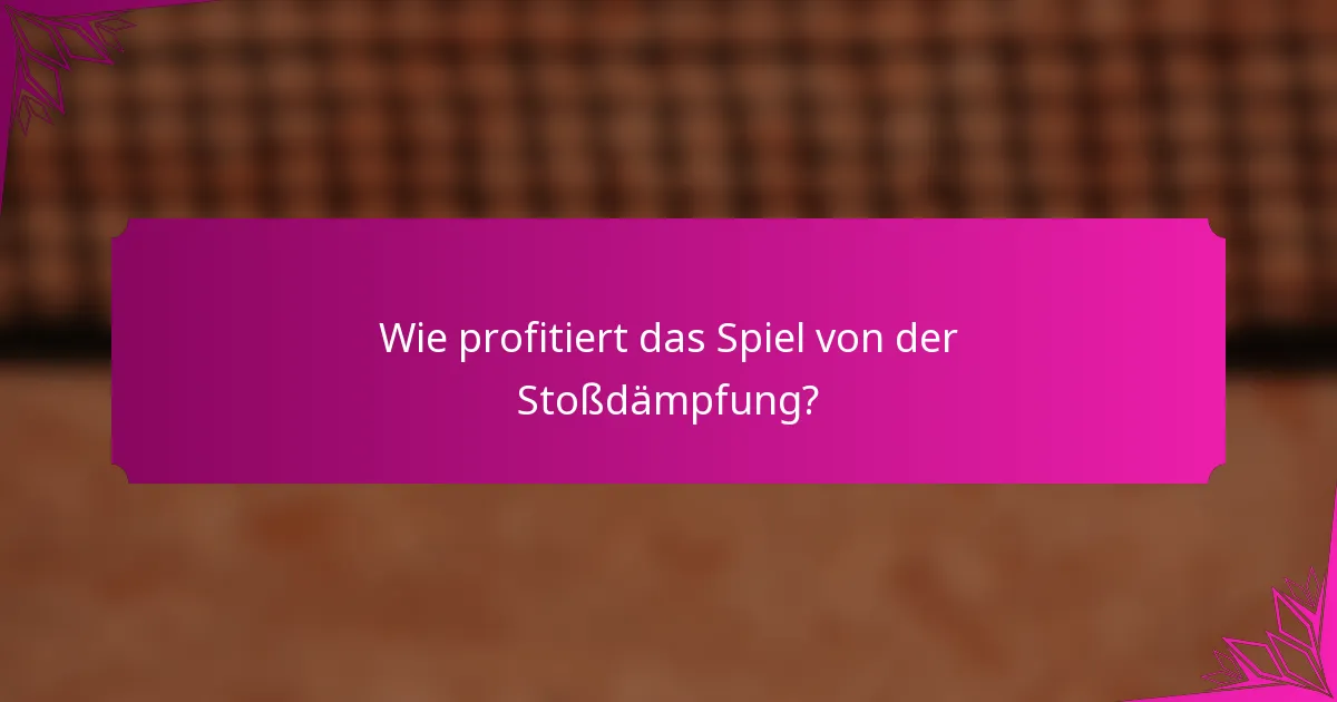 Wie profitiert das Spiel von der Stoßdämpfung?