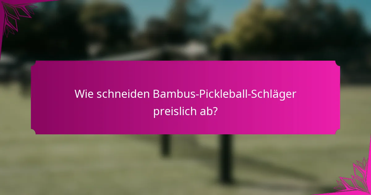 Wie schneiden Bambus-Pickleball-Schläger preislich ab?